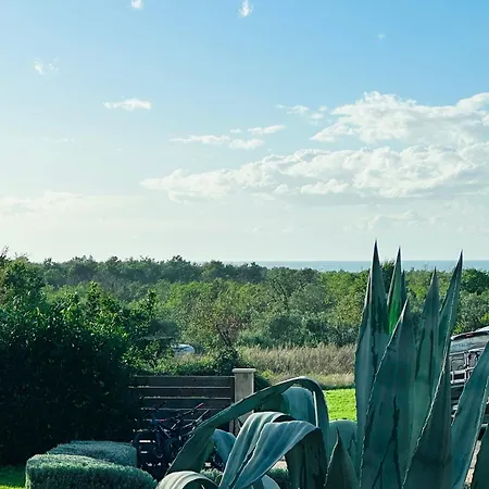 The Black House - Modern With Garden,1500m From * 우마그