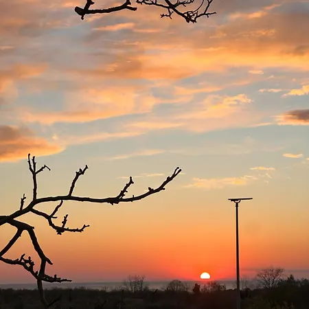 The Black House - Modern With Garden,1500m From