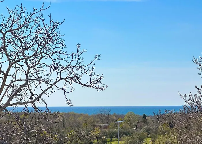 The Black House - Modern With Garden,1500m From Umag