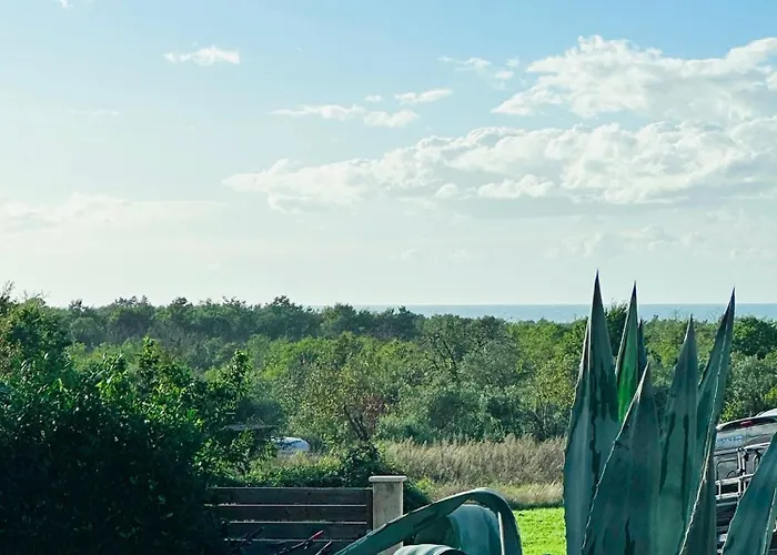The Black House - Modern With Garden,1500m From * Umag